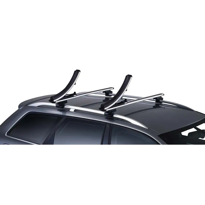 t.b.t. portapacchi per auto, accessorio per il trasporto. Colore argento.