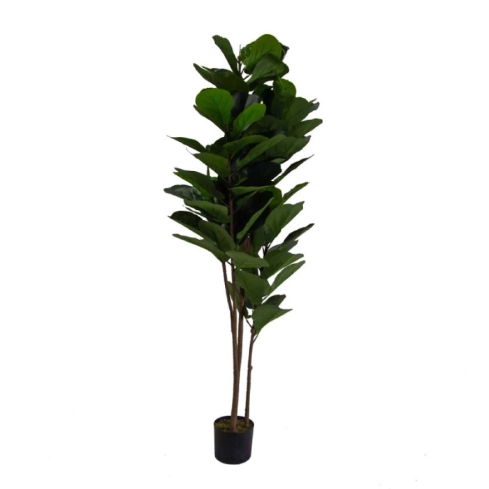Pianta artificiale in plastica Ficus h180 cm