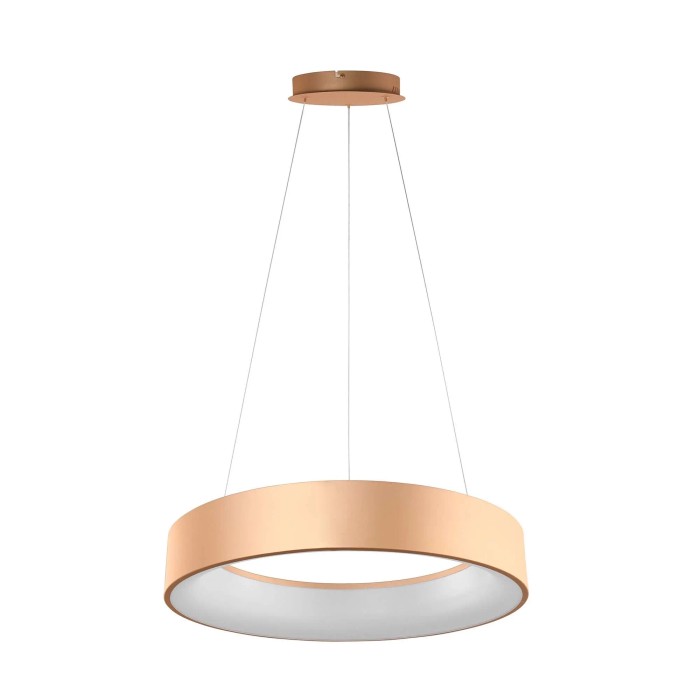 Lampadario a sospensione LED Noah 8000lm 60W CCT 60x10x150 cm oro