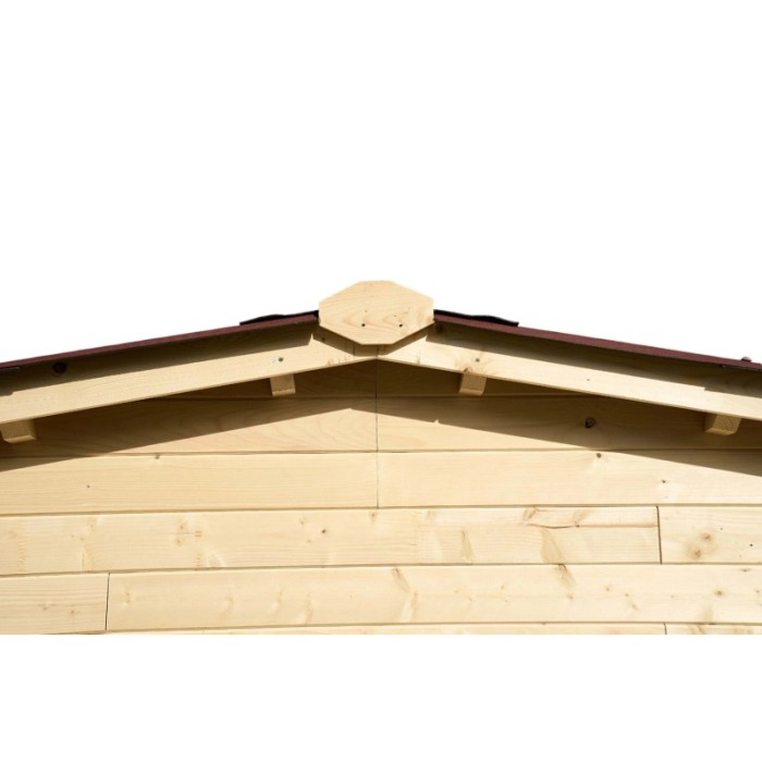 Casetta da giardino in legno sp 20 mm H197xL310xP188 cm