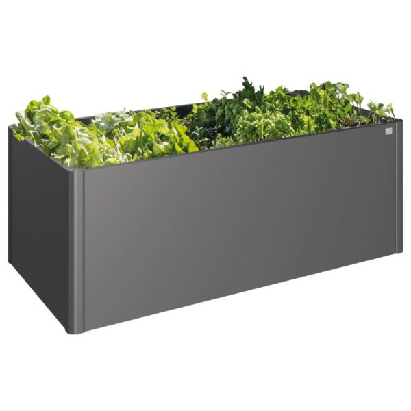 Aiuola rialzata Biohort in metallo, grigio scuro metallizzato, piantata con lattuga ed erbe aromatiche.