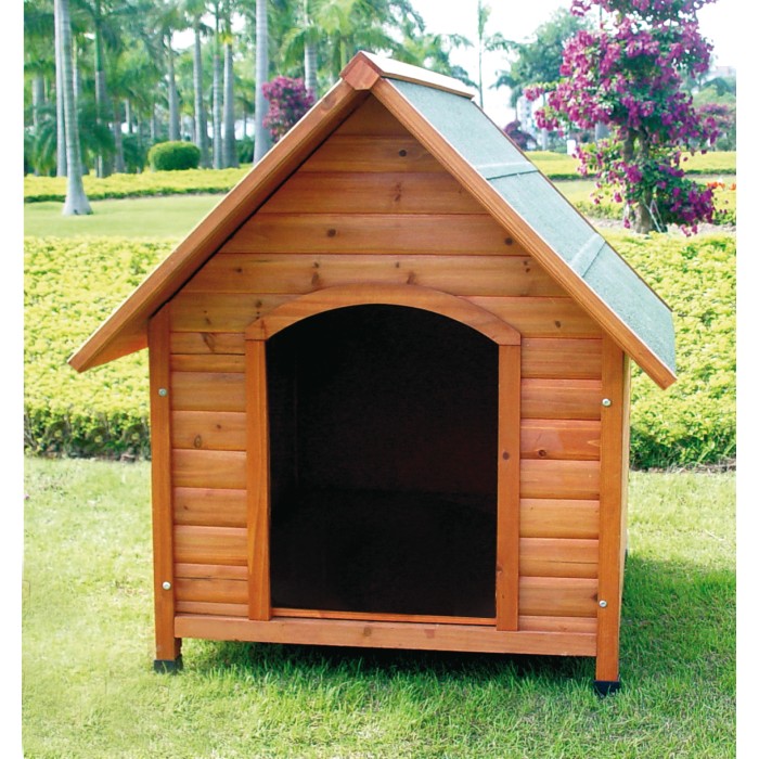 Cuccia per cani in legno con tetto verde in giardino.