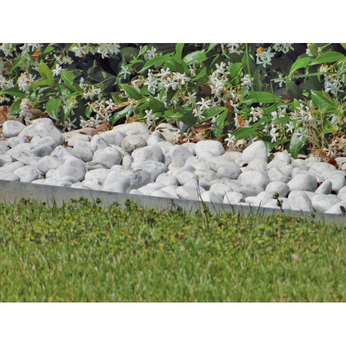 Bordura da giardino con pietre bianche e piante fiorite. Ideale per il design del giardino.