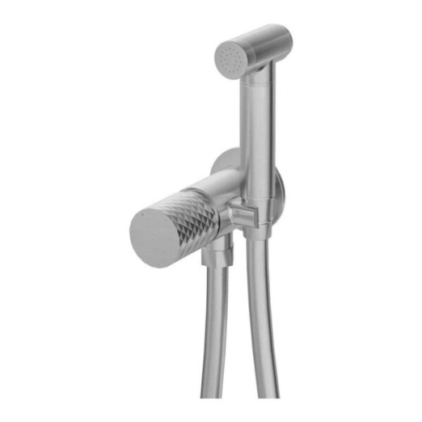 Miscelatore bidet Iguará a scomparsa con doccetta acciaio spazzolato